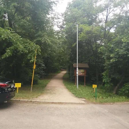 Vlado Vs Lejlighed *