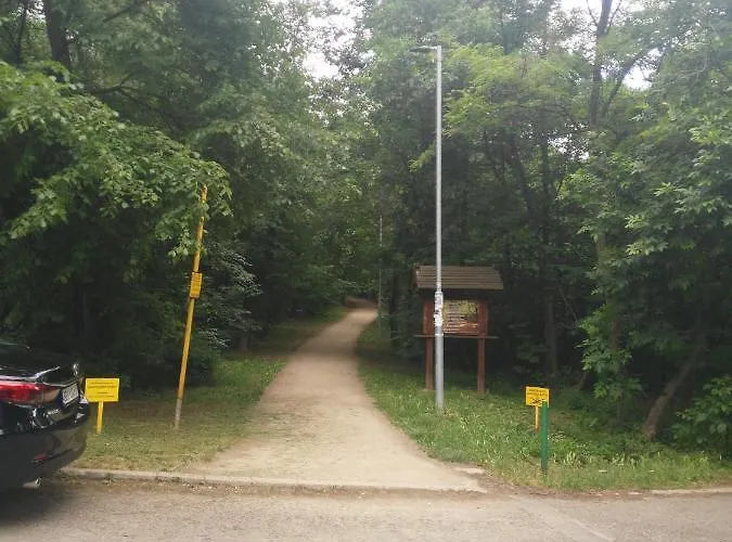 Vlado Vs 아파트 *